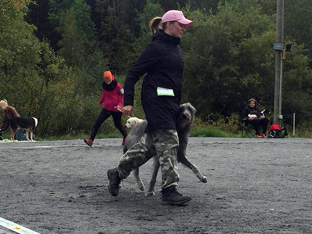 Liisa kehässä näyttelyssä koiran kanssa